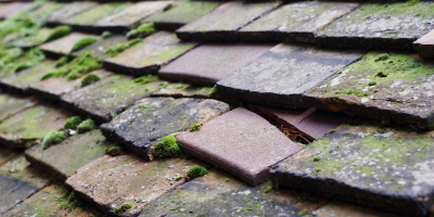 Trelleck Grange roof repair costs